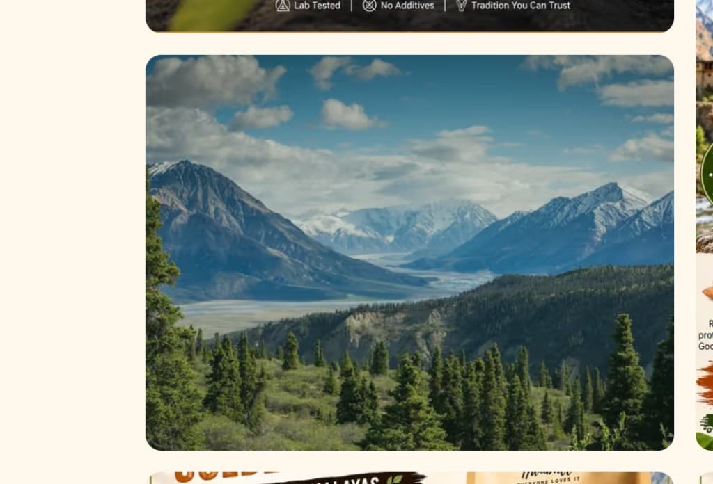 Hunza Valley mountain landscape with evergreen forests